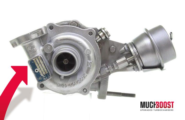 MUCHBO1 1 1